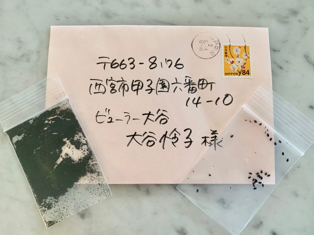 バクチャーで庭の土壌改良をしてホーリーバジルを植えるぞ！