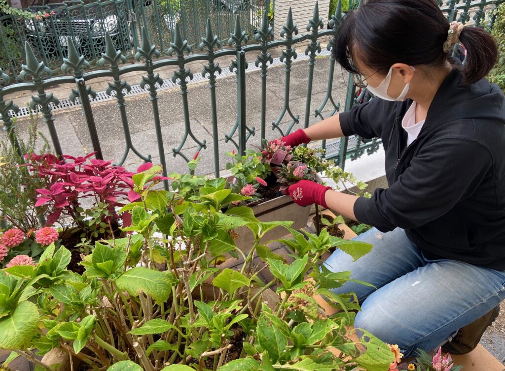 エントランスのお花を入れ替えてもらう♡プランテプランテさん！