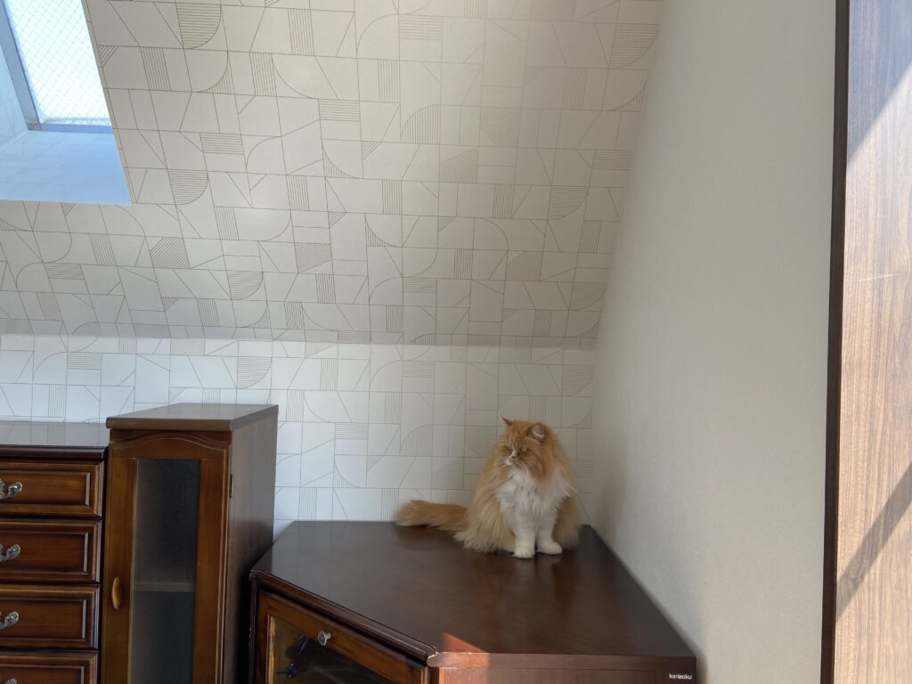 ３月末にリフォームがほぼ終了してます