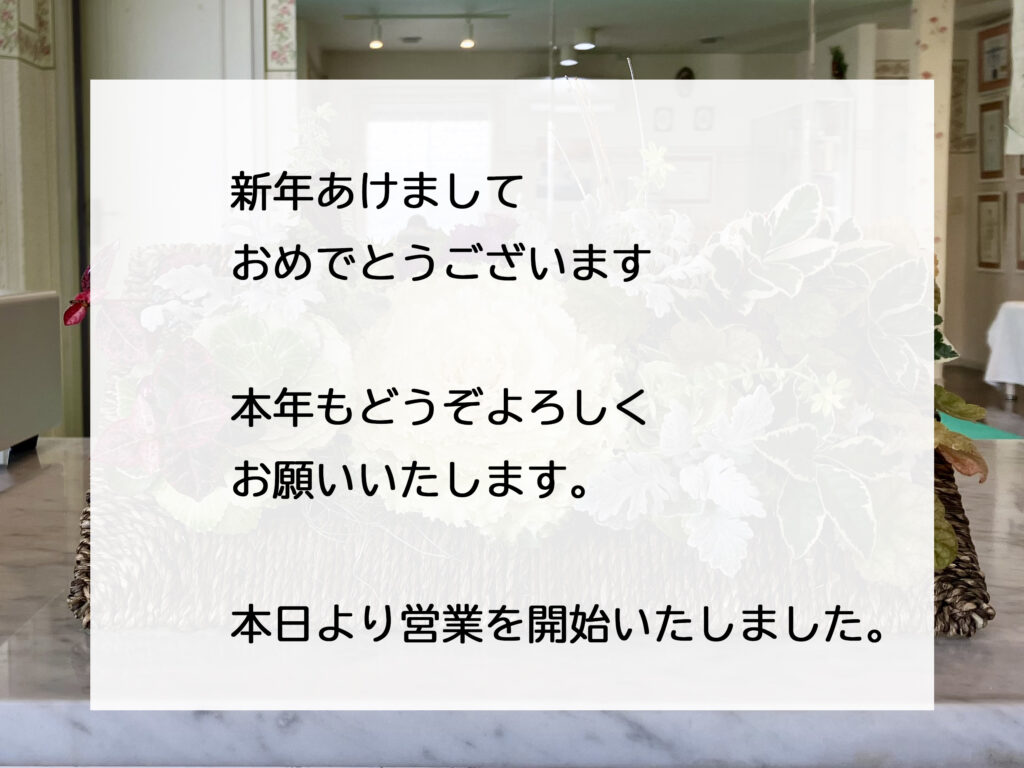 新年あけましておめでとうございます！！＿肌質体質改善エステ＿ビューラー大谷